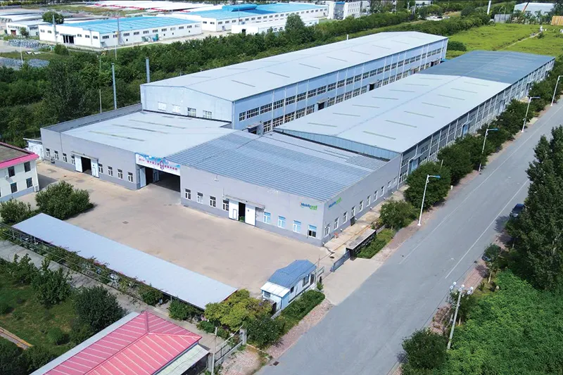 Company Profile