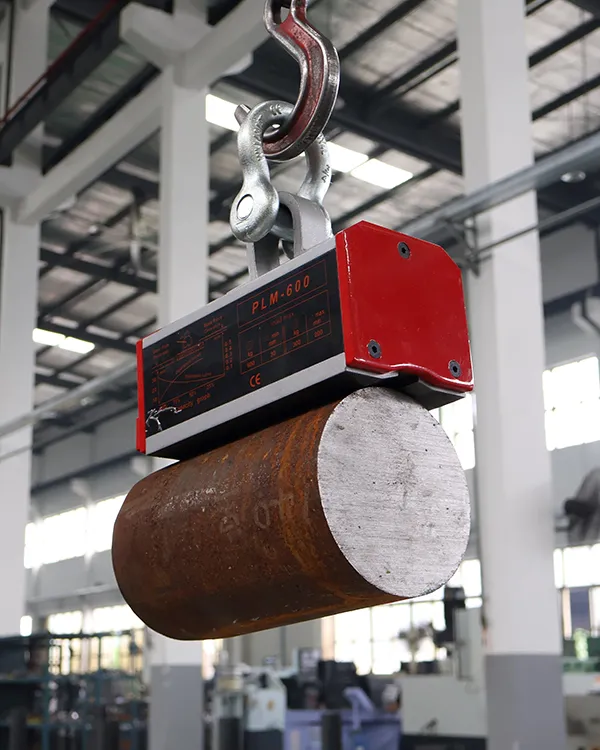 OEM/ODM Services for Lifting Magnets